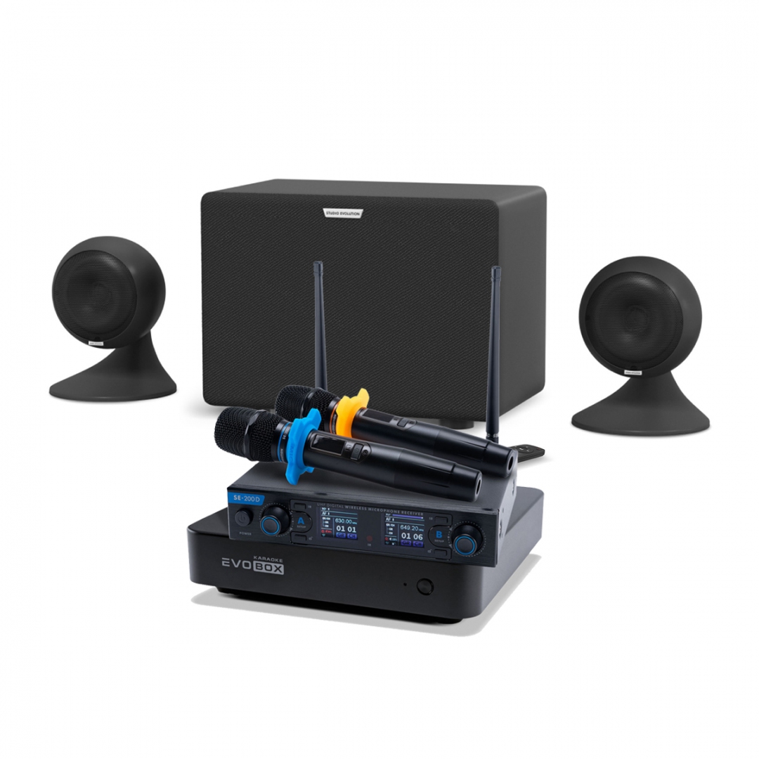 караоке-комплект EVOBOX + EvoSound Sphere 2.1 в Тобольске