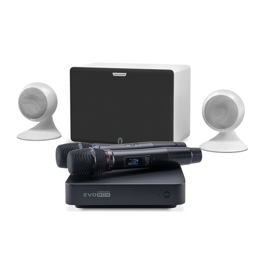 караоке-комплект EVOBOX Classic + EvoSound Sphere 2.1 в Тобольске