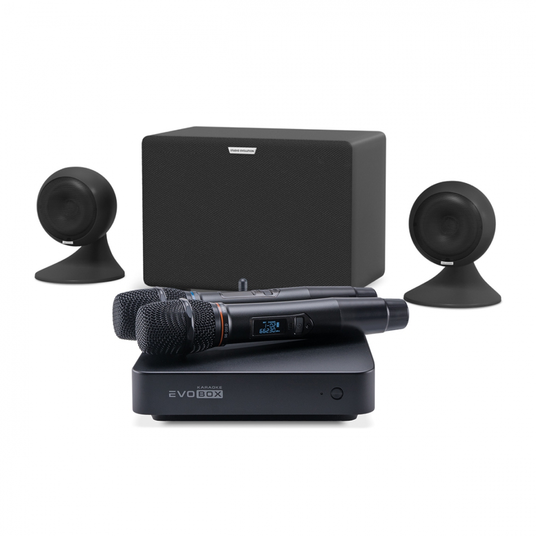 караоке-комплект EVOBOX Plus + EvoSound Sphere 2.1 в Тобольске