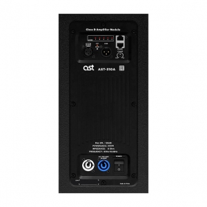 Активная акустическая система AST-310A в Тобольске