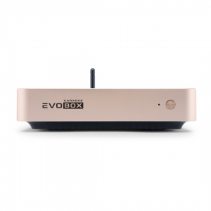 EVOBOX Plus караоке-система для дома в Тобольске