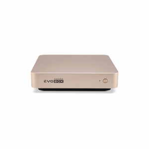 EVOBOX с микрофонами в Тобольске